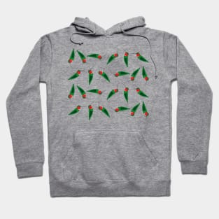 Tumbling Ruby throated hummingbirds Hoodie